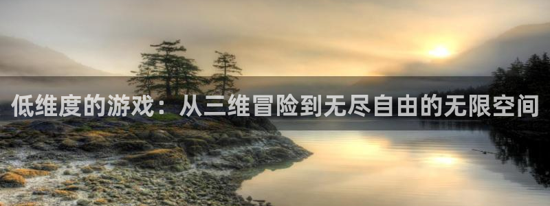 低维度的游戏：从三维冒险到无尽自由的无限空间