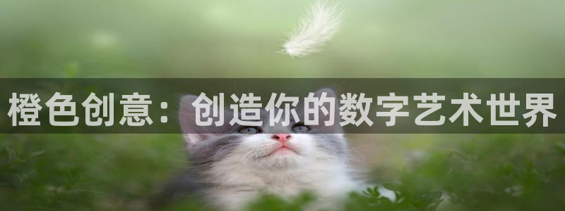 小艾电竞在线：橙色创意：创造你的数字艺术世界