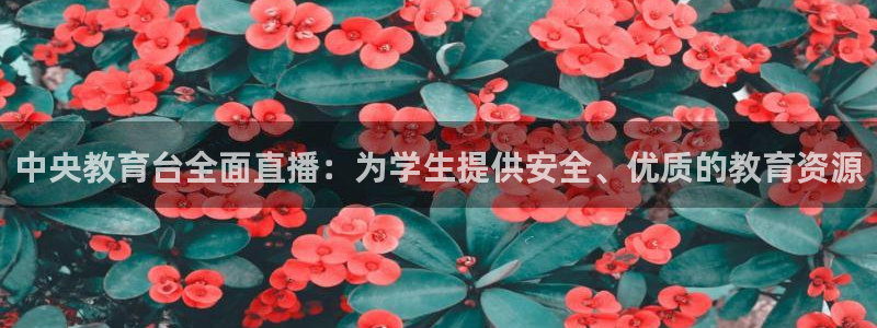熊猫体育直播信誉第一.好玩网.top：中央教育台全面直播：为学生提供安全、优质的教育资源
