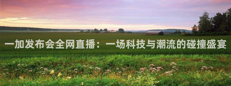 熊猫体育平台官网：一加发布会全网直播：一场科技与潮流的碰撞盛宴
