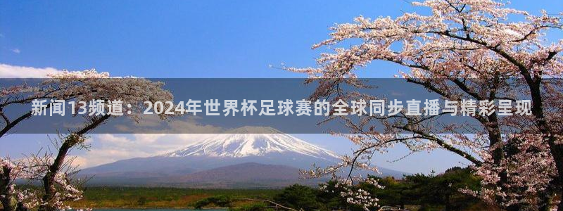 熊猫视：新闻13频道：2024年世界杯足球赛的全球同步直播与精彩呈现