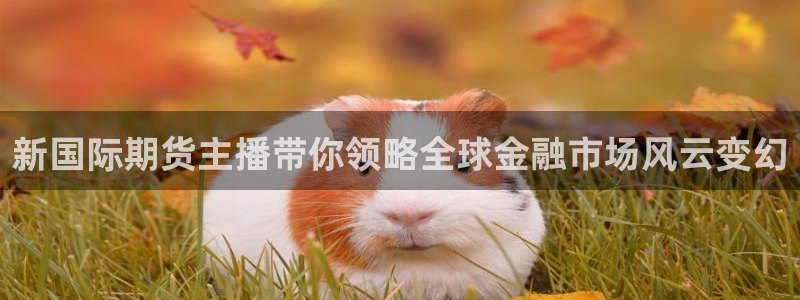 熊猫直播下载免费安装：新国际期货主播带你领略全球金融市场风云变幻