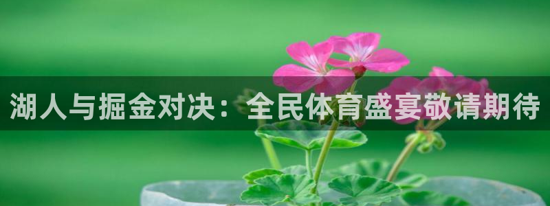 熊猫体育平台官网