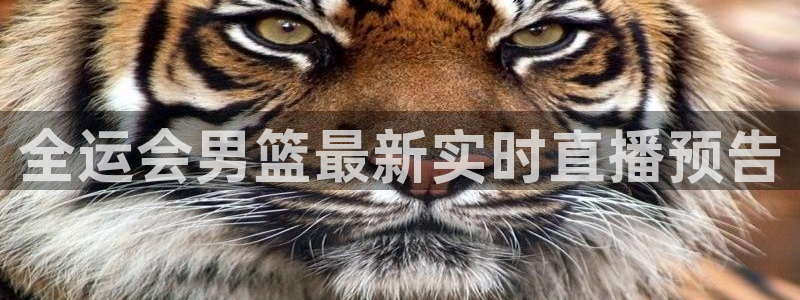 熊猫直播平台官网