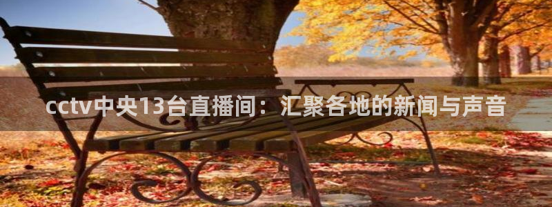 熊猫体育直播新的好游戏.认证网.org：cctv中央13台直播间：汇聚各地的新闻与声音